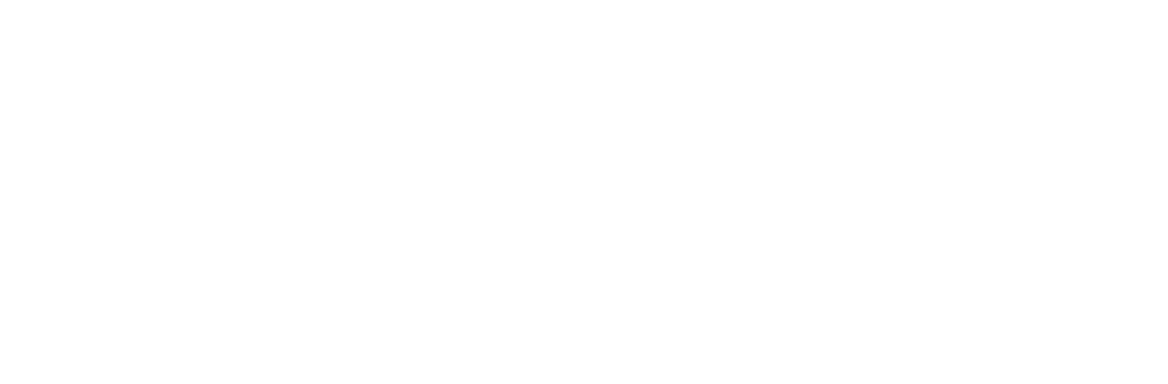 Sanergy Logo